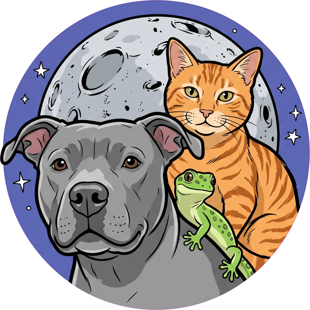 Illustration of a dog, cat, and gecko in front of the full moon