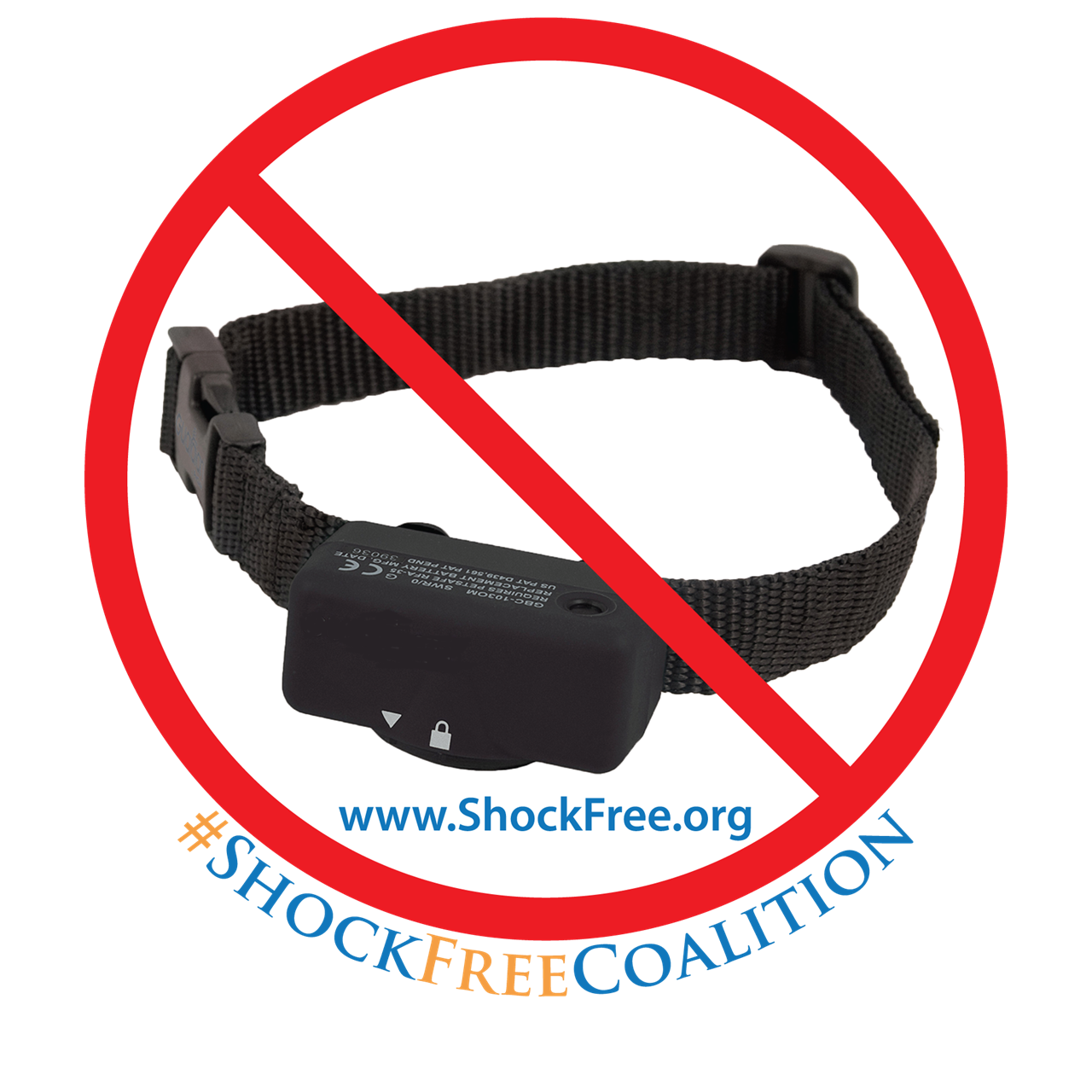 Shock-Free Coalition member