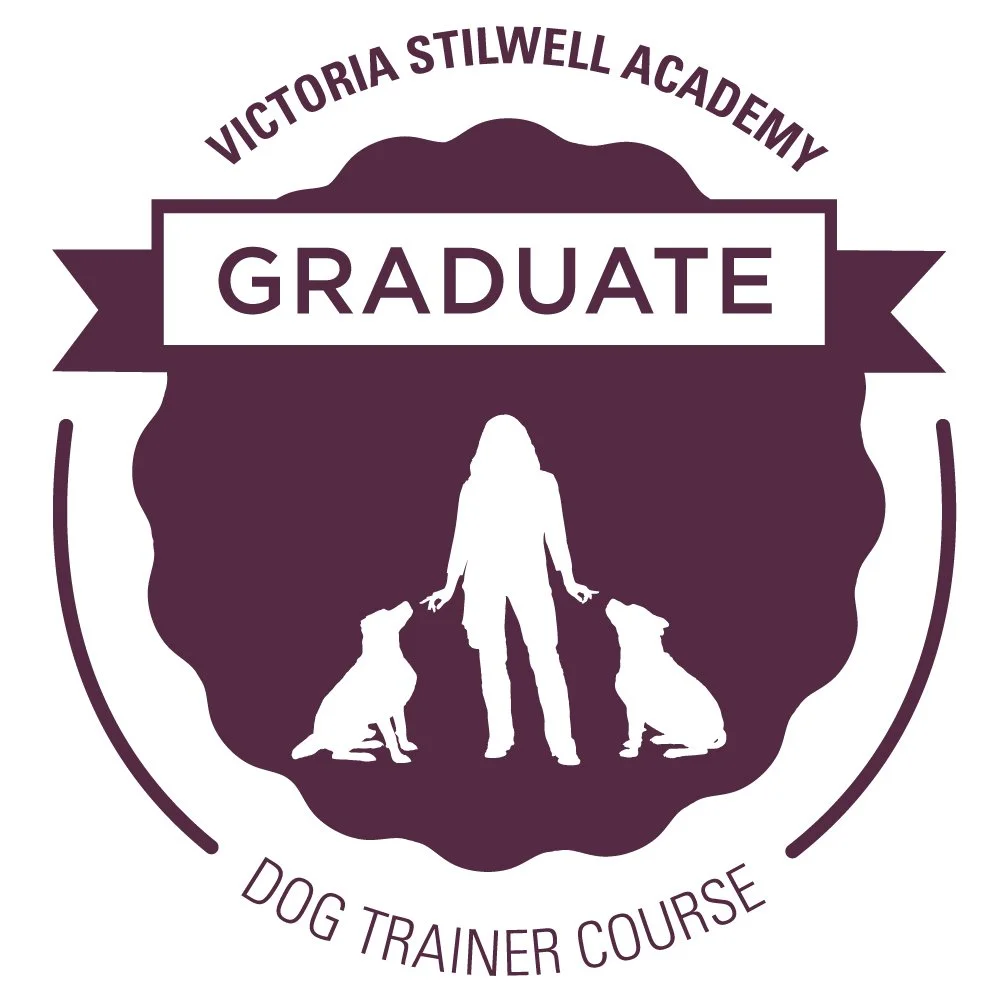 Victoria Stilwell Academy Graduate — Dog Trainer Course